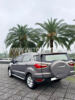 Xe Ford EcoSport Titanium 1.5L AT 2017