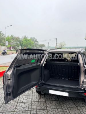 Xe Ford EcoSport Titanium 1.5L AT 2017